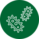 bacteria
